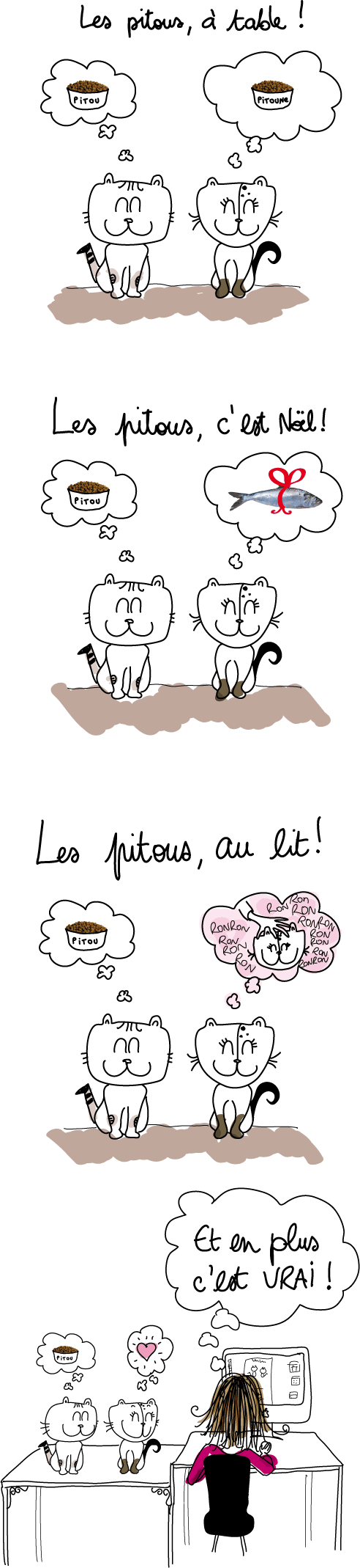 cerveau-pitous-bd1